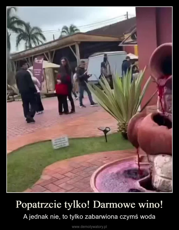 Popatrzcie tylko! Darmowe wino!