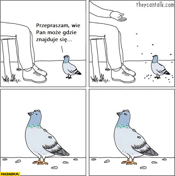 
    Gołąb przepraszam wie Pan może gdzie znajduje się…? Obsypany jedzeniem komiks