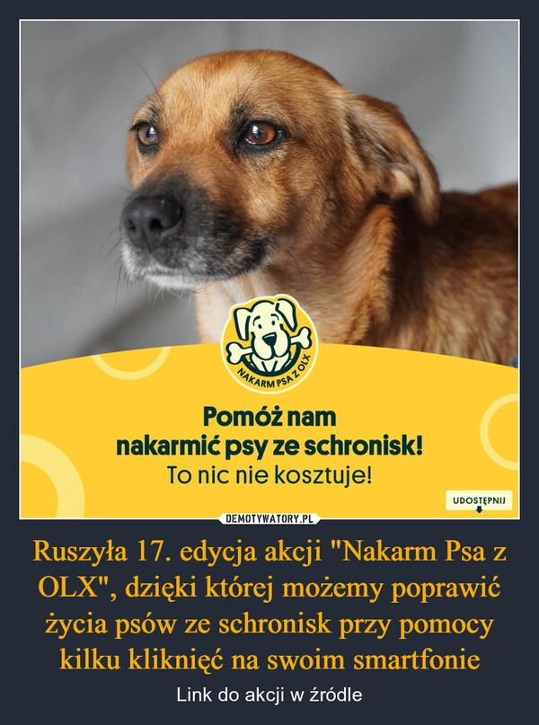 
    Ruszyła 17. edycja akcji "Nakarm Psa z OLX", dzięki której możemy poprawić życia psów ze schronisk przy pomocy kilku kliknięć na swoim smartfonie
