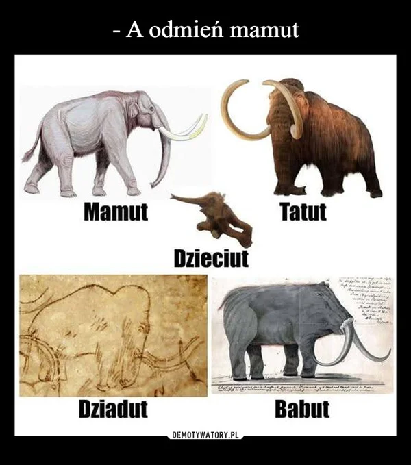 
    - A odmień mamut