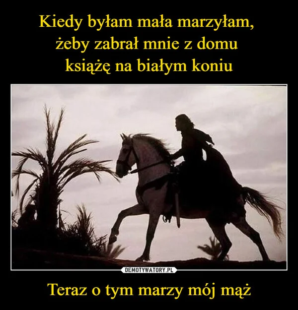 
    Kiedy byłam mała marzyłam, żeby zabrał mnie z domu książę na białym koniu Teraz o tym marzy mój mąż