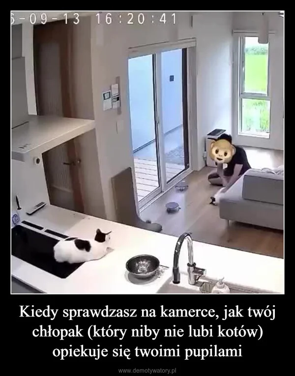 
    Kiedy sprawdzasz na kamerce, jak twój chłopak (który niby nie lubi kotów) opiekuje się twoimi pupilami