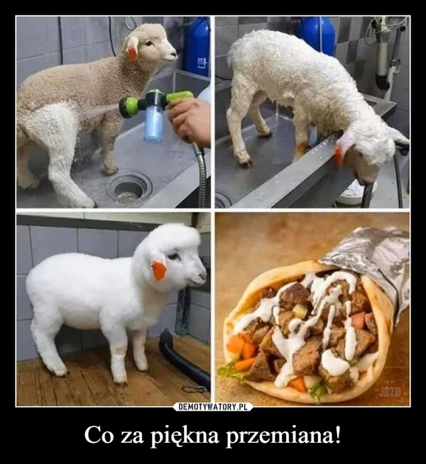 
    Co za piękna przemiana!