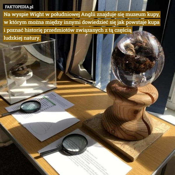 
    Na wyspie Wight w południowej Anglii znajduje się muzeum kupy,
w którym