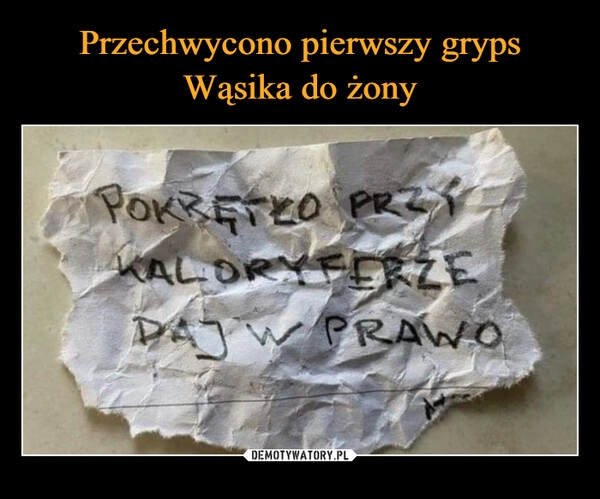 
    Przechwycono pierwszy gryps Wąsika do żony