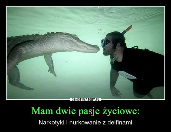 
    Mam dwie pasje życiowe: