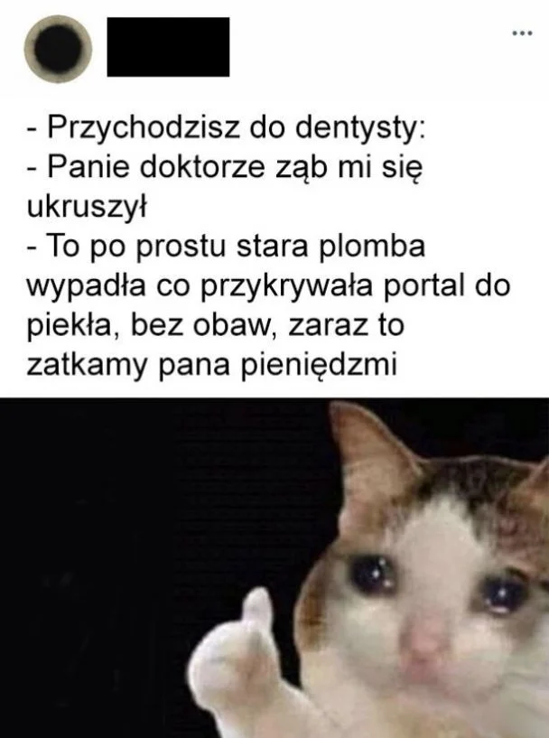 
    Dentyści