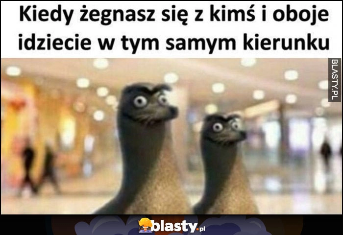 
    Kiedy żegnasz się z kimś i oboje idziecie w tym samym kierunku foki