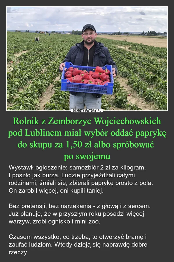 
    Rolnik z Zemborzyc Wojciechowskich pod Lublinem miał wybór oddać paprykę do skupu za 1,50 zł albo spróbować po swojemu