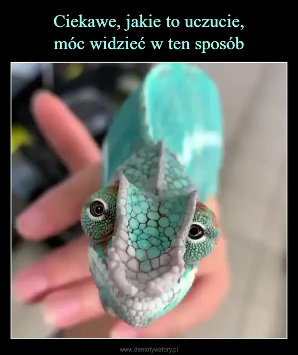 Ciekawe, jakie to uczucie, móc widzieć w ten sposób