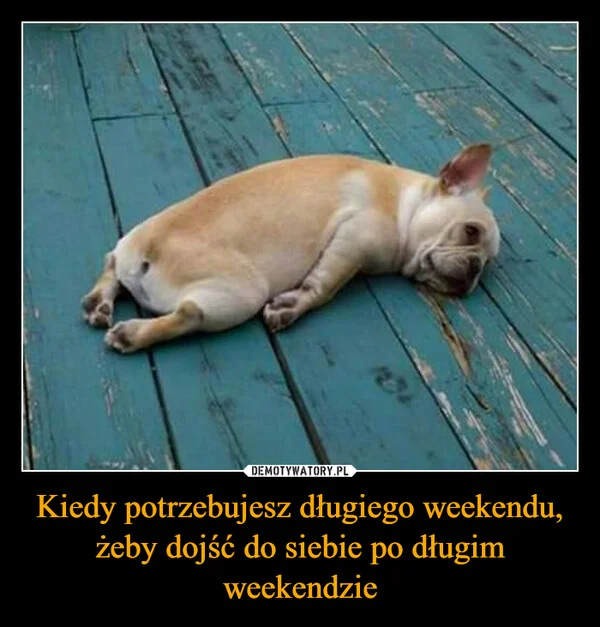 
    Kiedy potrzebujesz długiego weekendu, żeby dojść do siebie po długim weekendzie