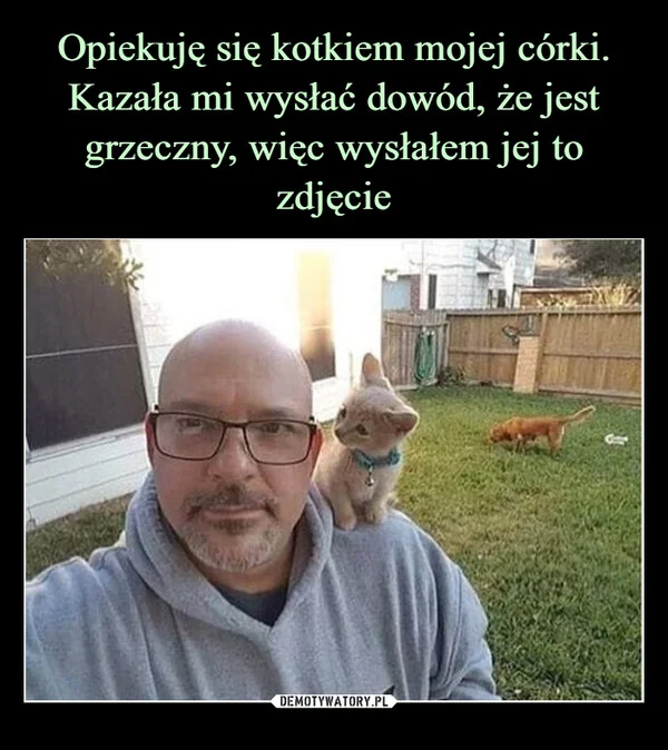 
    Opiekuję się kotkiem mojej córki. Kazała mi wysłać dowód, że jest grzeczny, więc wysłałem jej to zdjęcie