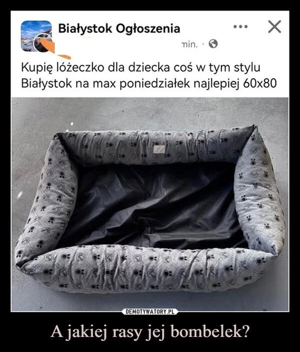 
    A jakiej rasy jej bombelek?