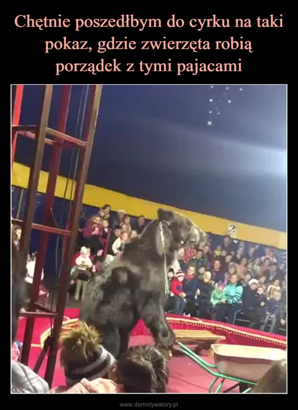 
    Chętnie poszedłbym do cyrku na taki pokaz, gdzie zwierzęta robią porządek z tymi pajacami