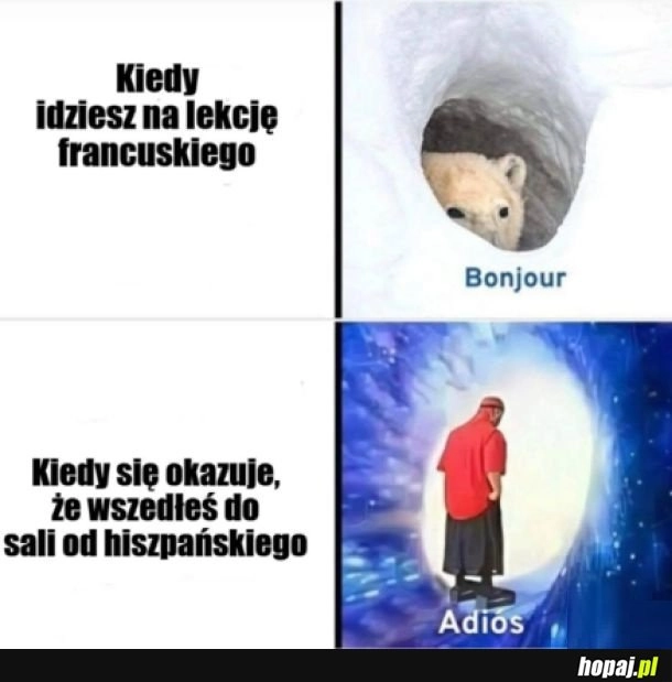 
    Sucharek językowo-memiczny
