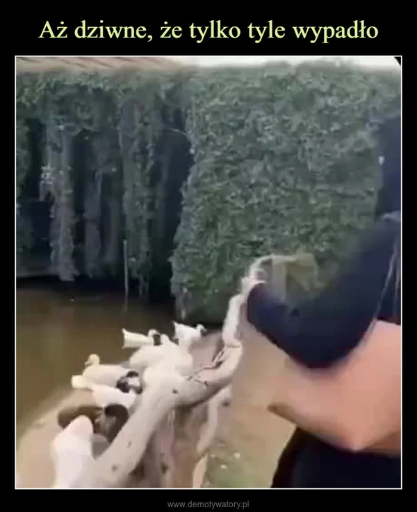 
    Aż dziwne, że tylko tyle wypadło