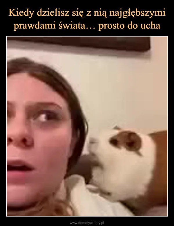 
    Kiedy dzielisz się z nią najgłębszymi prawdami świata… prosto do ucha