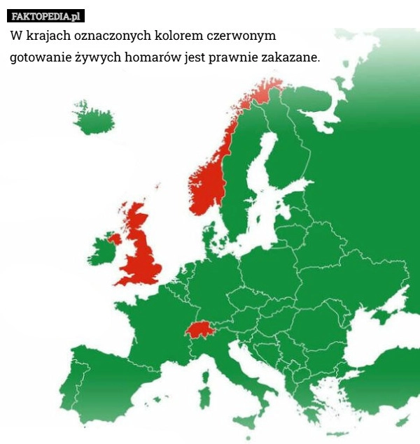 
    W krajach oznaczonych kolorem czerwonym gotowanie żywych homarów jest prawnie