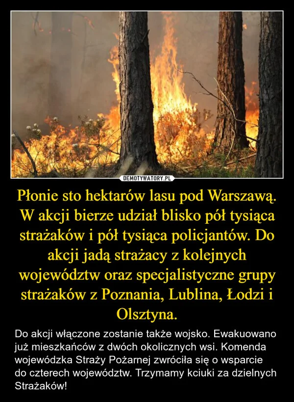 
    Płonie sto hektarów lasu pod Warszawą. W akcji bierze udział blisko pół tysiąca strażaków i pół tysiąca policjantów. Do akcji jadą strażacy z kolejnych województw oraz specjalistyczne grupy strażaków z Poznania, Lublina, Łodzi i Olsztyna.