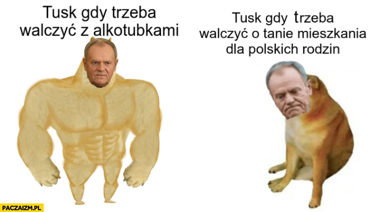 
    Tusk gdy trzeba walczyć z alkotubkami vs gdy trzeba walczyć o tanie mieszkania dla polskich rodzin pies pieseł doge cheems