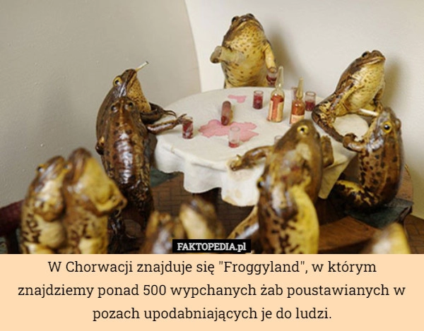 
    W Chorwacji znajduje się "Froggyland", w którym znajdziemy ponad