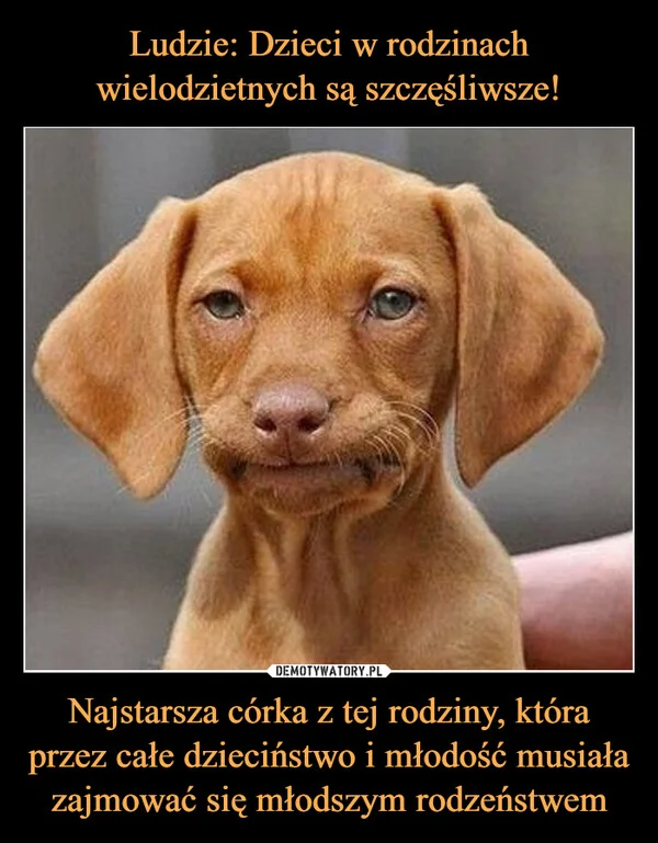 Ludzie: Dzieci w rodzinach wielodzietnych są szczęśliwsze! Najstarsza córka z tej rodziny, która przez całe dzieciństwo i młodość musiała zajmować się młodszym rodzeństwem