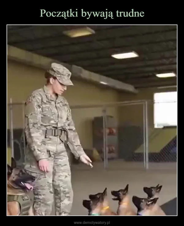 
    Początki bywają trudne