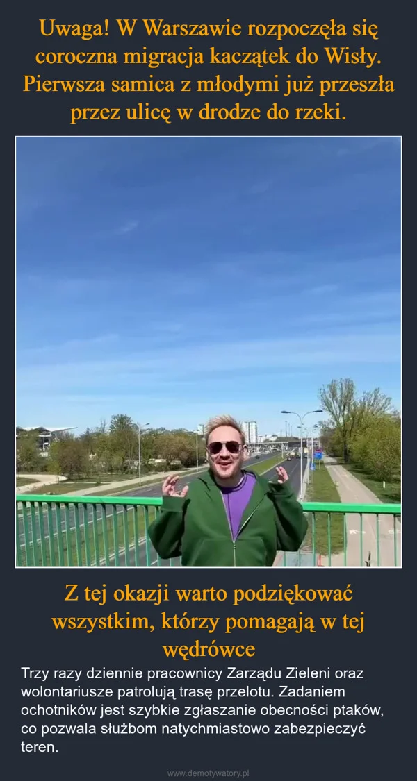 
    Uwaga! W Warszawie rozpoczęła się coroczna migracja kaczątek do Wisły. Pierwsza samica z młodymi już przeszła przez ulicę w drodze do rzeki. Z tej okazji warto podziękować wszystkim, którzy pomagają w tej wędrówce