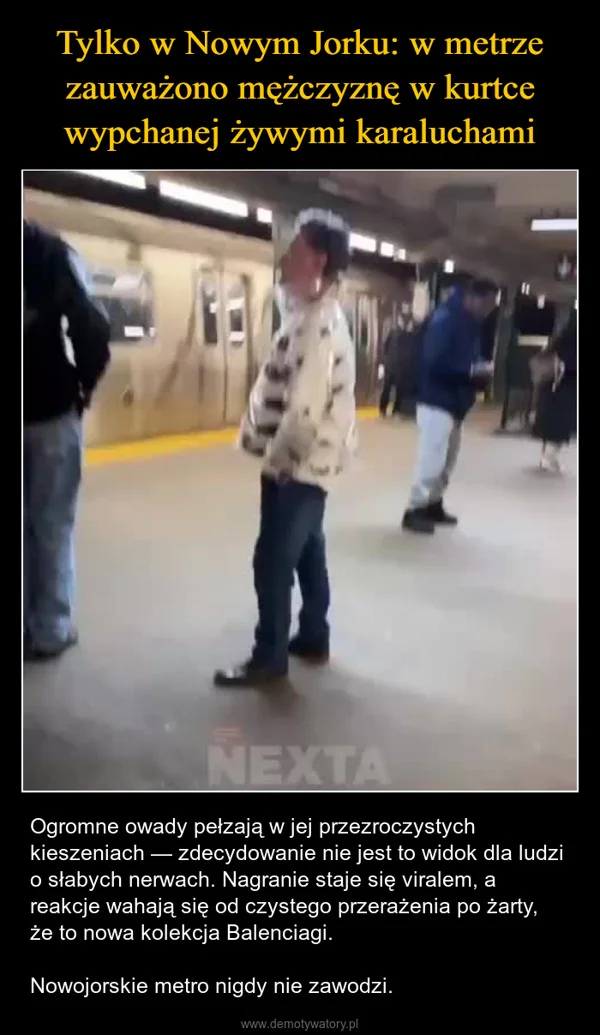 
    Tylko w Nowym Jorku: w metrze zauważono mężczyznę w kurtce wypchanej żywymi karaluchami