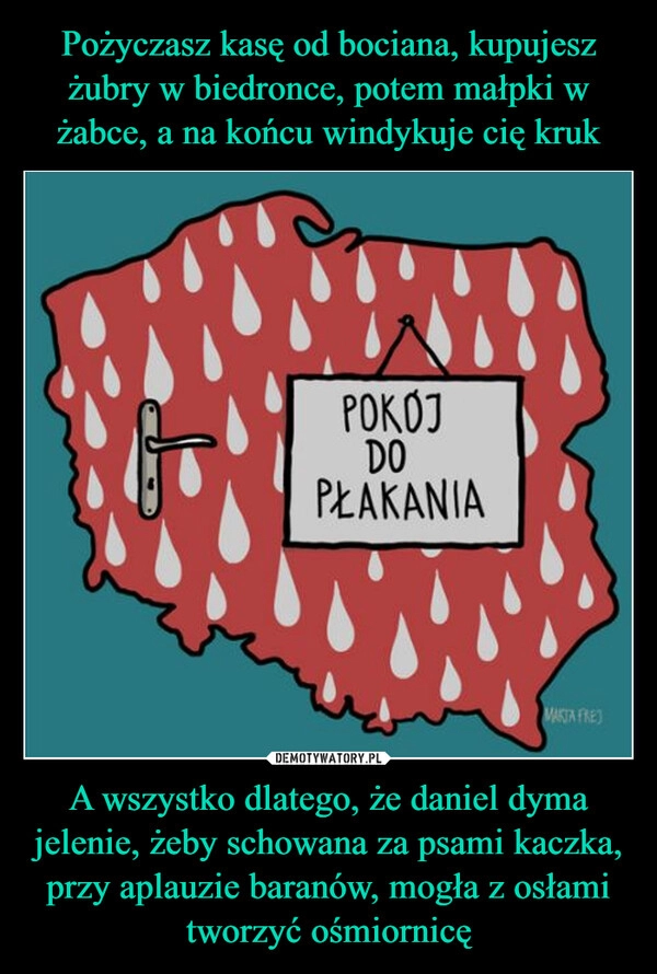 
    Pożyczasz kasę od bociana, kupujesz żubry w biedronce, potem małpki w żabce, a na końcu windykuje cię kruk A wszystko dlatego, że daniel dyma jelenie, żeby schowana za psami kaczka, przy aplauzie baranów, mogła z osłami tworzyć ośmiornicę