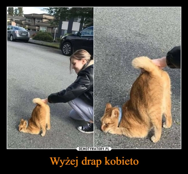 
    Wyżej drap kobieto