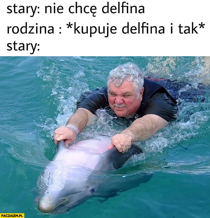 Stary: nie chcę delfina, rodzina kupuje delfina i tak, stary jedzie płynie na delfinie