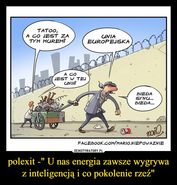 
    polexit -