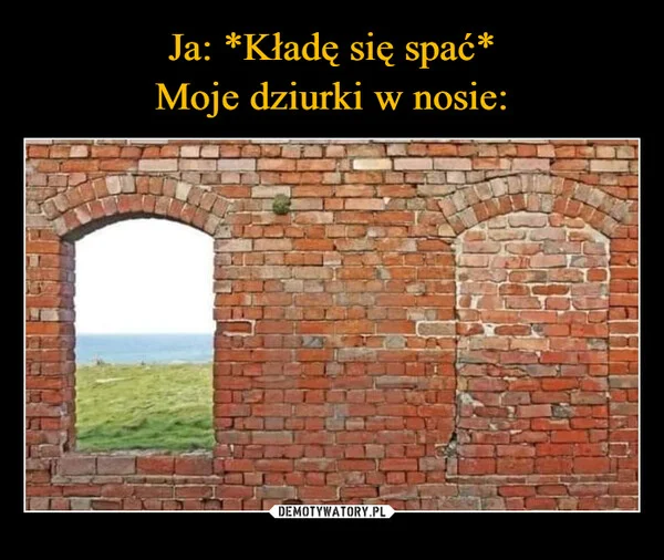 
    Ja: *Kładę się spać* Moje dziurki w nosie: