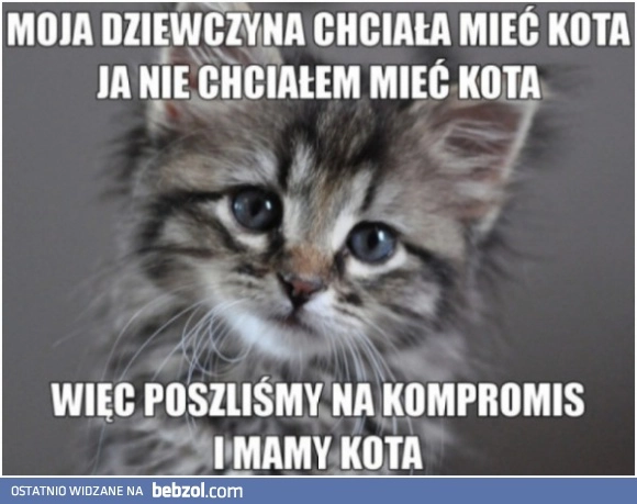 
    Kompromisy w związku