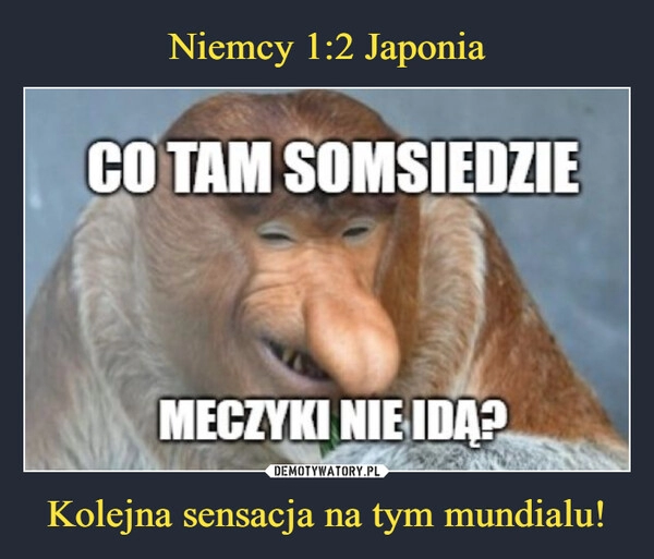 
    
Niemcy 1:2 Japonia Kolejna sensacja na tym mundialu! 