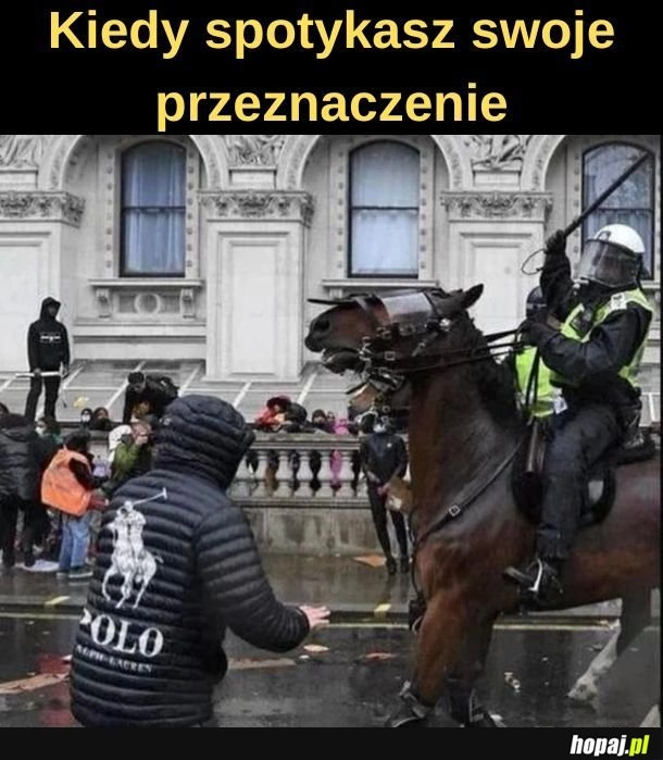 
    Przeznaczenie.