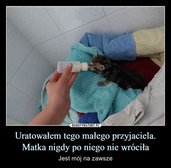 
    Uratowałem tego małego przyjaciela. Matka nigdy po niego nie wróciła