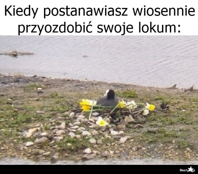 
    Wiosna we wnętrzach 