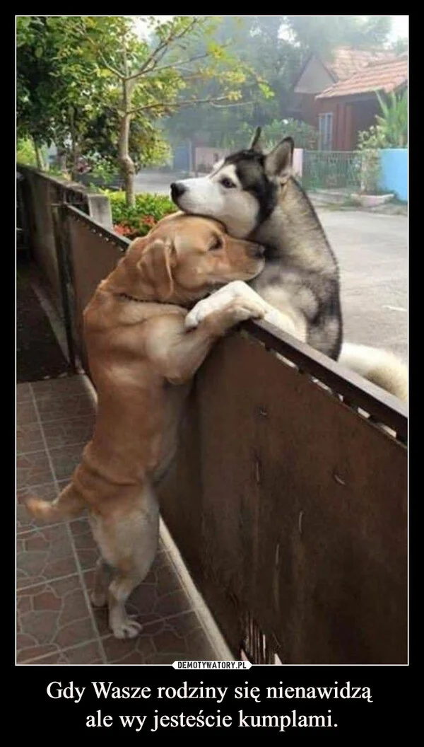 
    Gdy Wasze rodziny się nienawidzą ale wy jesteście kumplami.