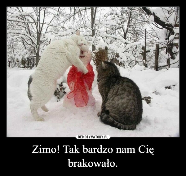 
    Zimo! Tak bardzo nam Cię brakowało.