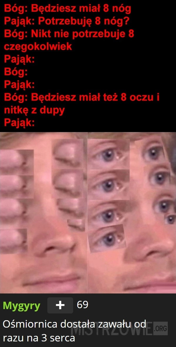 
    
			Pająk					