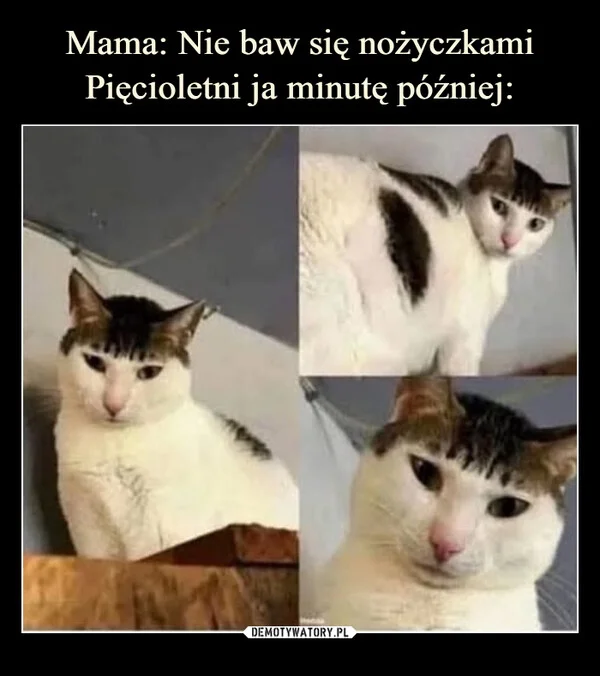 Mama: Nie baw się nożyczkami Pięcioletni ja minutę później:
