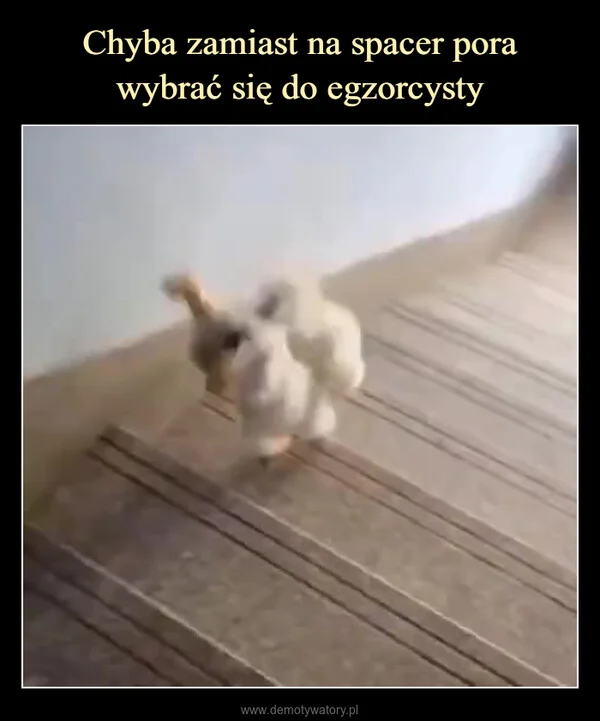 Chyba zamiast na spacer pora wybrać się do egzorcysty
