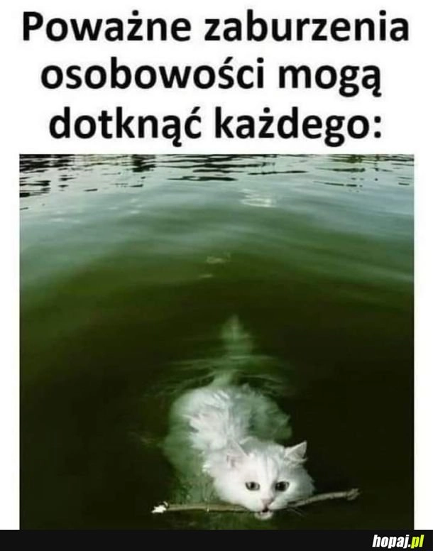 
    Osobowość