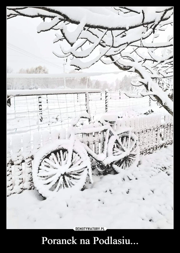 
    Poranek na Podlasiu...