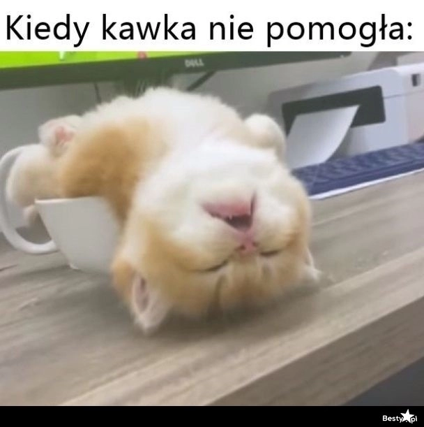 
    Kiedy kawa nie pomogła 