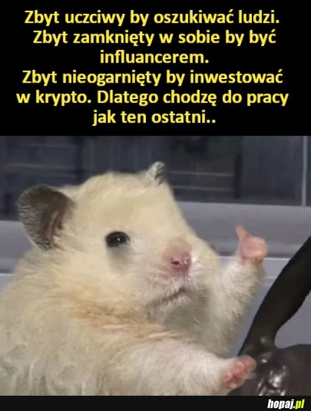 
    Zbyt uczciwy
