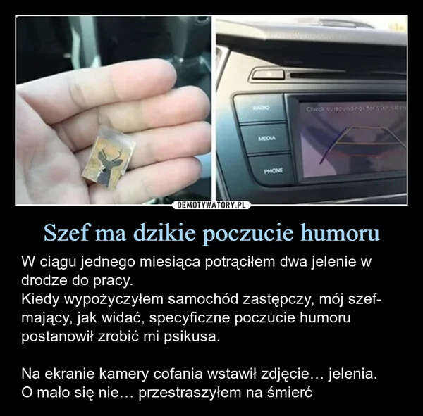
    Szef ma dzikie poczucie humoru
