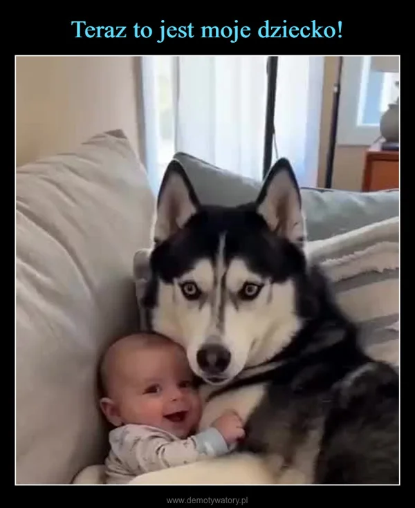 
    Teraz to jest moje dziecko!